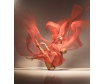 Exhibition Moving Still by Lois Greenfield (USA)